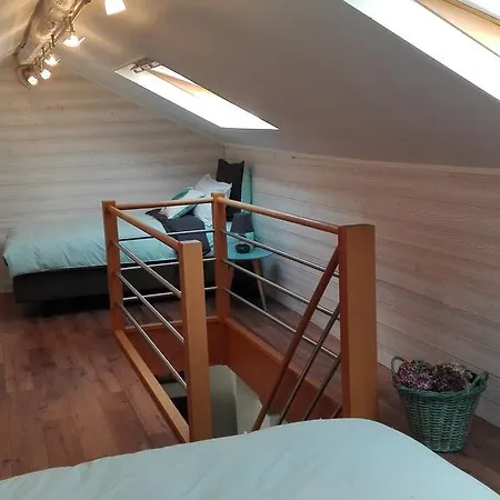 Duplex 
